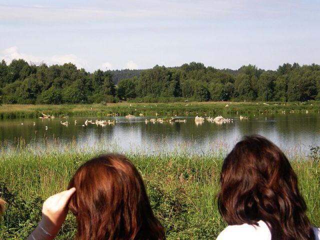 kliknte pro zobrazen pvodnho obrzku